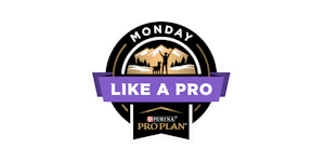 Monday Like A Pro Logo