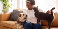 woman on couch with pet cat and dog