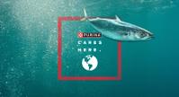 fish swimming under water with purina cares here logo