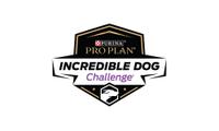incredible dog show
