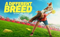 A Different Breed. Sit stay win.