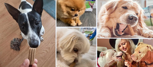 social media image collage