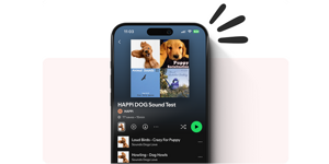 A phone displays one of the Happi program's dog enrichment activities.