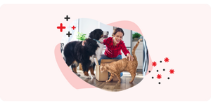 A woman kneels down to pet her dog and cat next to a Purina package.