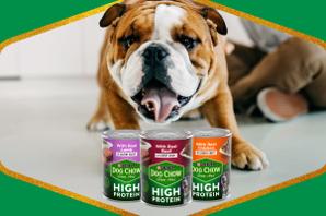 A bulldog looks into the camera with a lineup of Purina Dog Chow High Protein Wet Dog Food varieties sit infront of it. The image has a green and gold border.