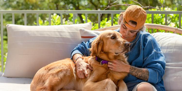 Woman in ball cap sitting with dog in purple collar on her lap