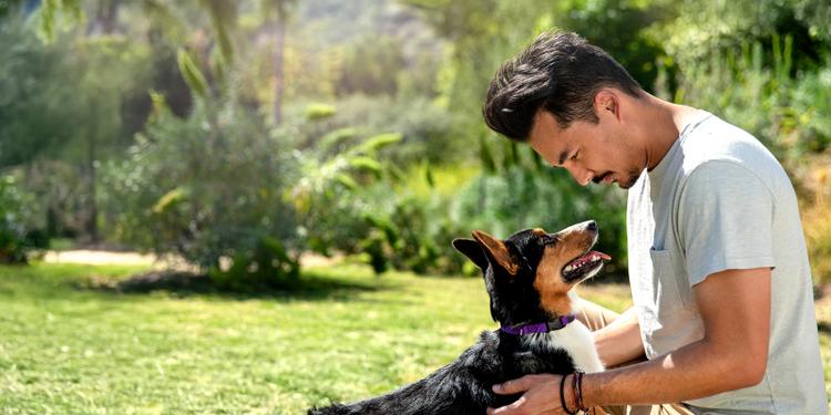 man looking down and petting dog outside