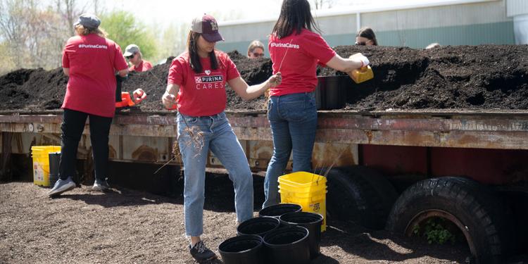Purina employees volunteer in their community.