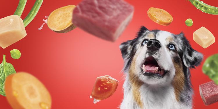 Beneful dog with whole ingredients falling from the sky.