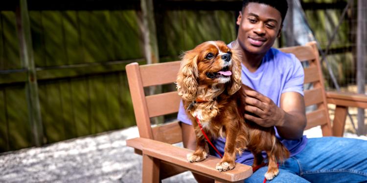 Man sitting on bench with dog