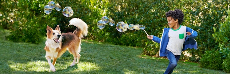 Boy and dog playing with bubbles