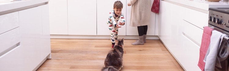 niño en pijama jugando con gato en cocina