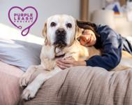 Purple Leash Project logo beside a person embracing a Labrador retriever on a bed.