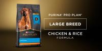Pro Plan Adult Large Breed Chicken & Rice Formula