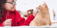 young girl petting orange cat on bed