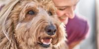 woman with brown curly-haired dog