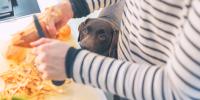 person at kitchen counter peeling a sweet potato while a brown labrador looks on