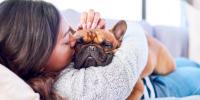 mujer acurrucada con un frenchie acostado en un sofá