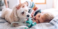 Child petting dog as they lay on bed