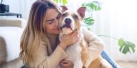 persona abrazando un perro marrón y blanco