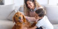 person and child petting a golden retriever