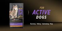 Pro Plan for active dogs – running, hiking, swimming, play