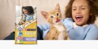 kitten_chow_review
