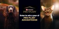 Enter to win a free year of Pro Plan AdvantEDGE