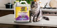 Tired of Finding Litter Where You Least Expect It?