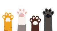 four differing cartoon paws raised on white background