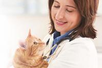 Dra. Emily Cross, veterinaria, diplomada de la American Board of Veterinary Practitioners