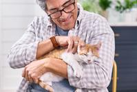 A kitten being held and pet by its owner
