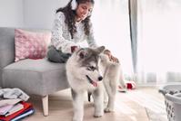 A puppy standing being pet by its owner