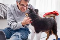 A puppy looking up at its owner while owner is scratching the puppy’s chin