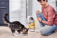 A kitten eating Purina Kitten Chow while owner is watching