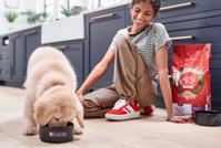 A puppy eating Purina ONE Healthy Puppy out of a bowl while owner is watching.