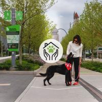 A woman walks a black dog with a Purina bandana on the Brickline Greenway in St. Louis, Missouri.
