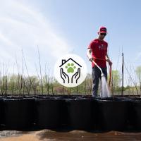 A Purina employee helps water trees that are being planted in partnership with Forest ReLeaf in Missouri.