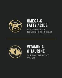 Omega-3 Fatty Acids and vitamin a and taurine to support healthy vision