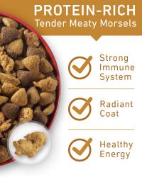 Protein rich tender meaty morsels for strong immune system radiant coat and healthy energy