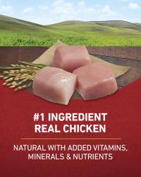 Number 1 ingredient real chicken natural with added vitamins minerals and nutrients