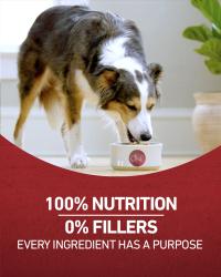 100 percent nutrition 0 percent fillers every ingredient has a purpose