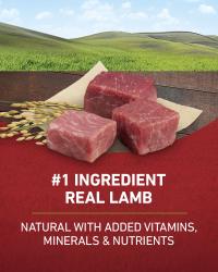 Number 1 ingredient real lamb natural with added vitamins, minerals, and nutrients