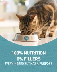 100 percent nutrition 0 percent fillers every ingredient has a purpose
