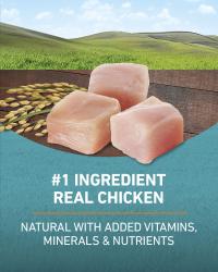 Number 1 ingredient real chicken natural with added vitamins minerals and nutrients