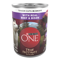 Purina ONE® True Instinct Tender Cuts in Gravy Dog Food Formula With Real Beef & Bison