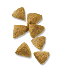 croquetas-pro-plan-focus-para-adultos-de-razas-pequeñas