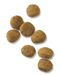 croquetas-de-pollo-y-arroz-para-cachorros-pro-plan-focus