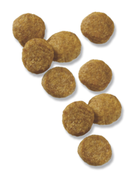 croquetas-de-cordero-y-arroz-para-cachorros-pro-plan-focus