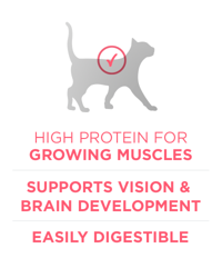 High protein for growing muscles